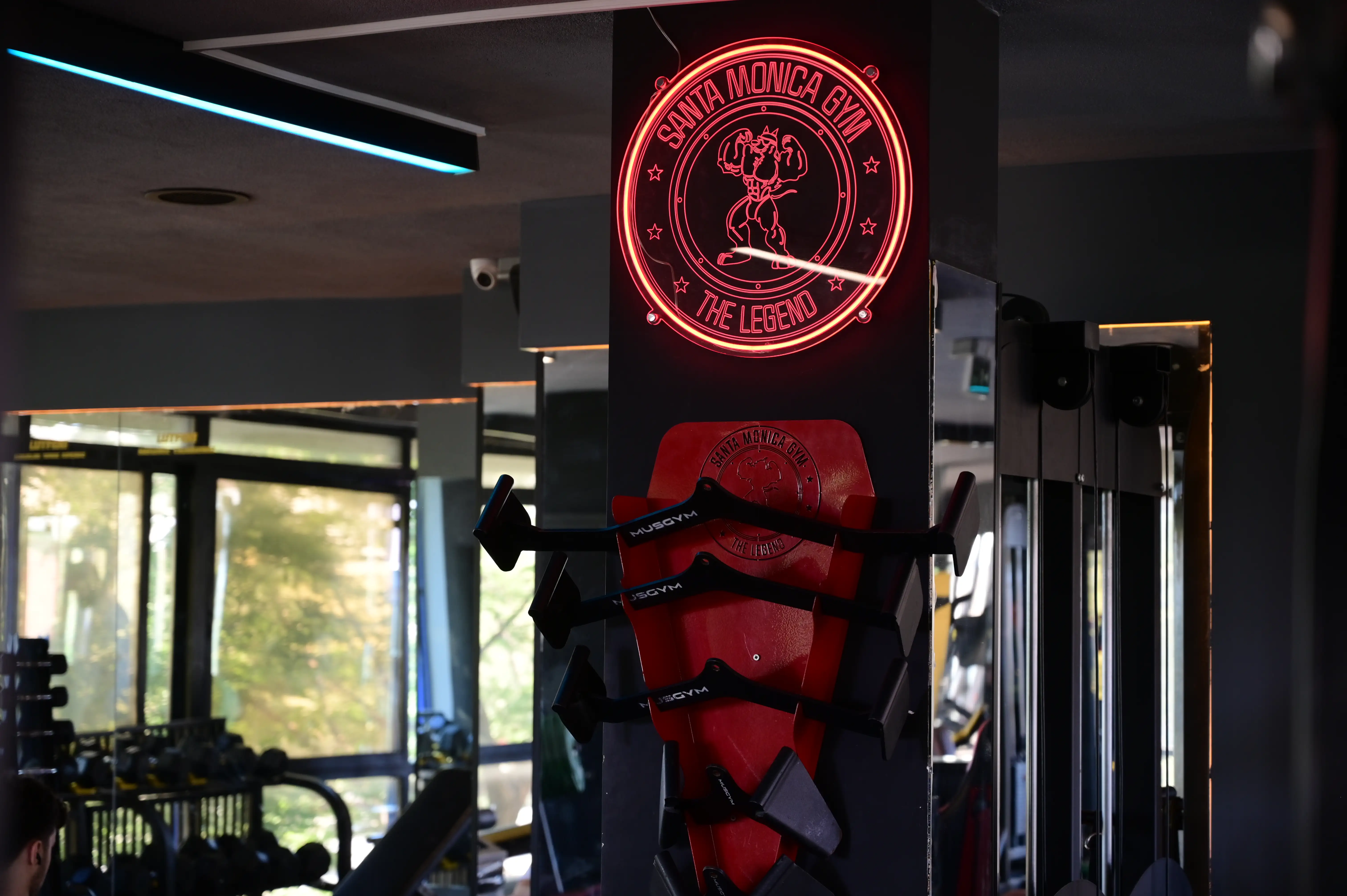Santa Monica Gym antrenman alanı fotoğrafı